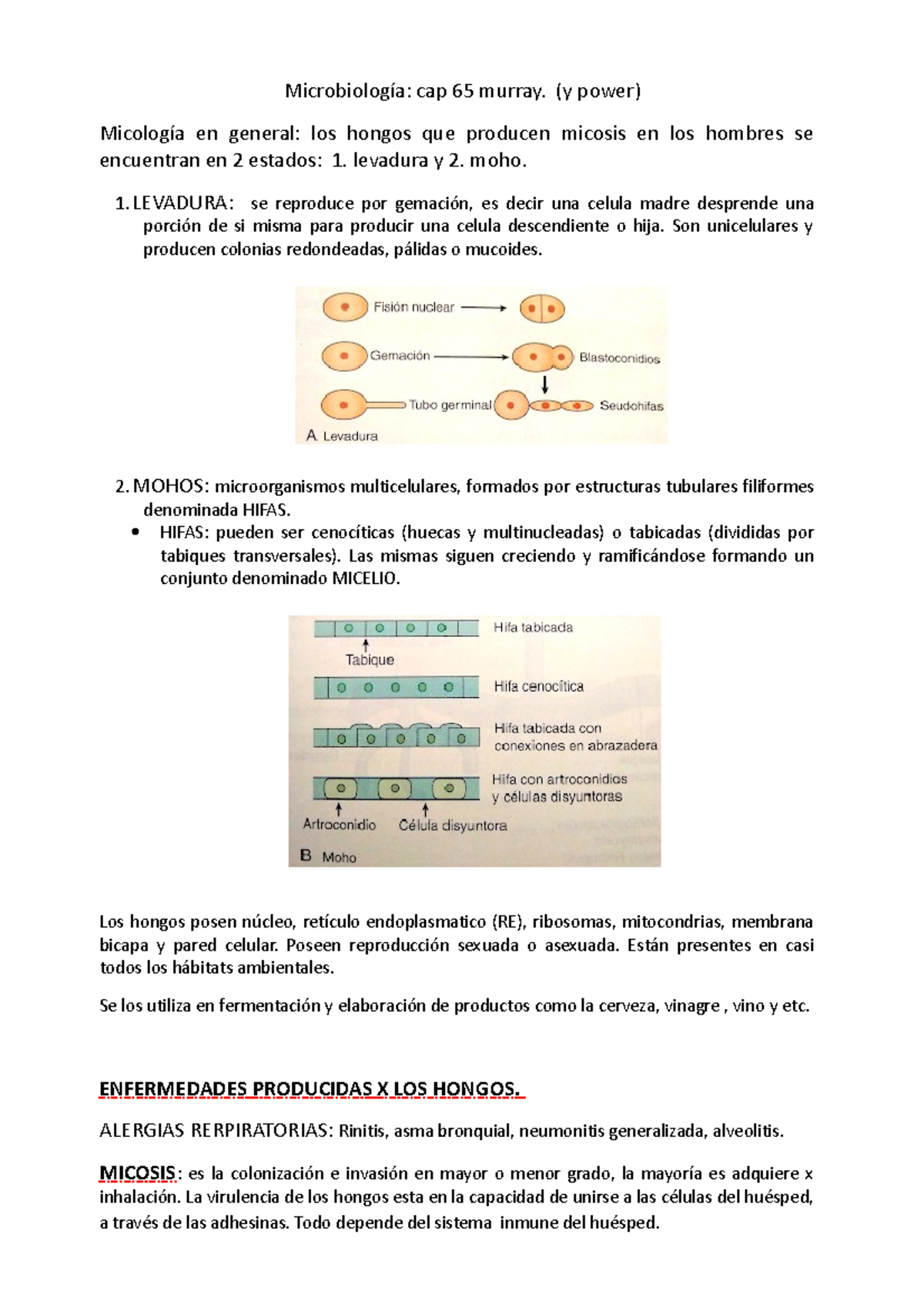 Micosis: Exámenes, Diagnóstico y Clasificación - Parcial Microbiología - Document Preview