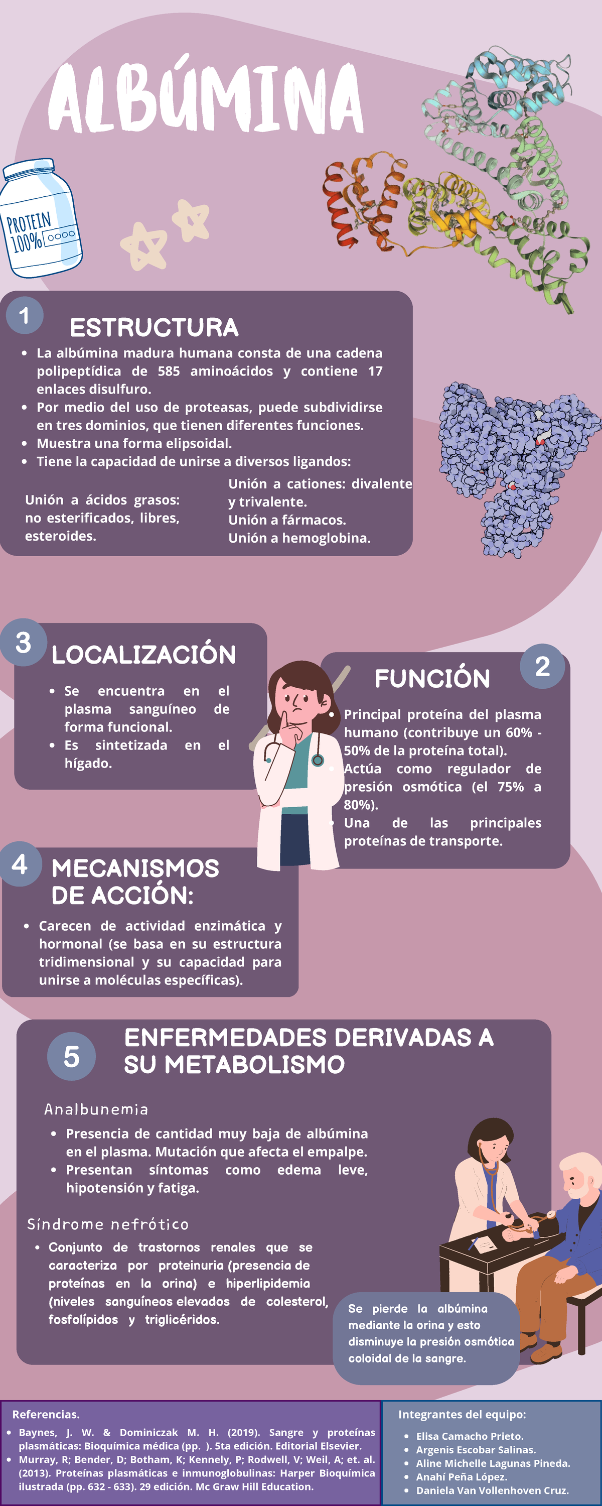 Albumina - Estructura, Función y Enfermedades Asociadas - Studocu