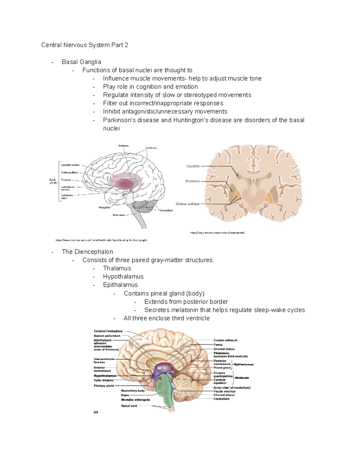 BIO 285 CNS Part 2 - Comprehensive Overview of Central Nervous System ...