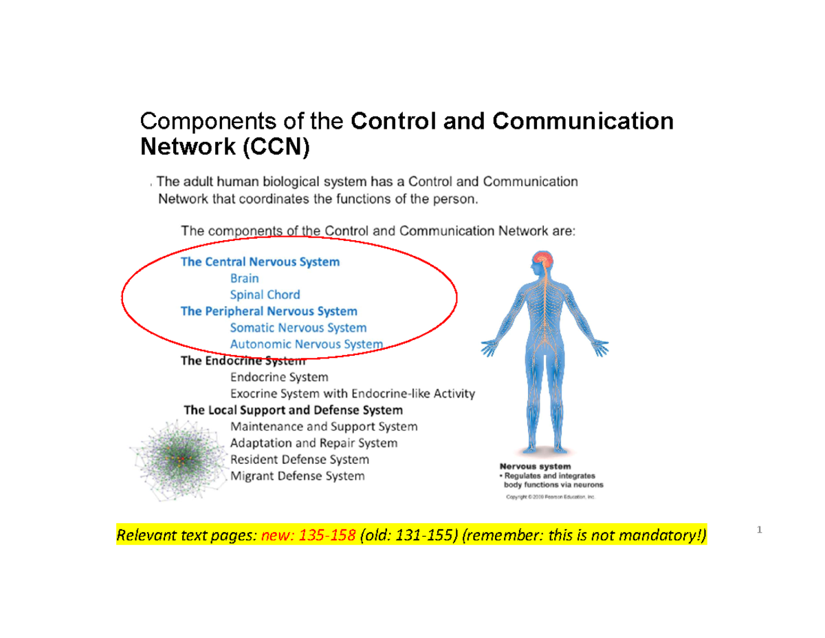 H BIOL 1080 - Lecture 9 W25 Final Student - Components of the Control ...