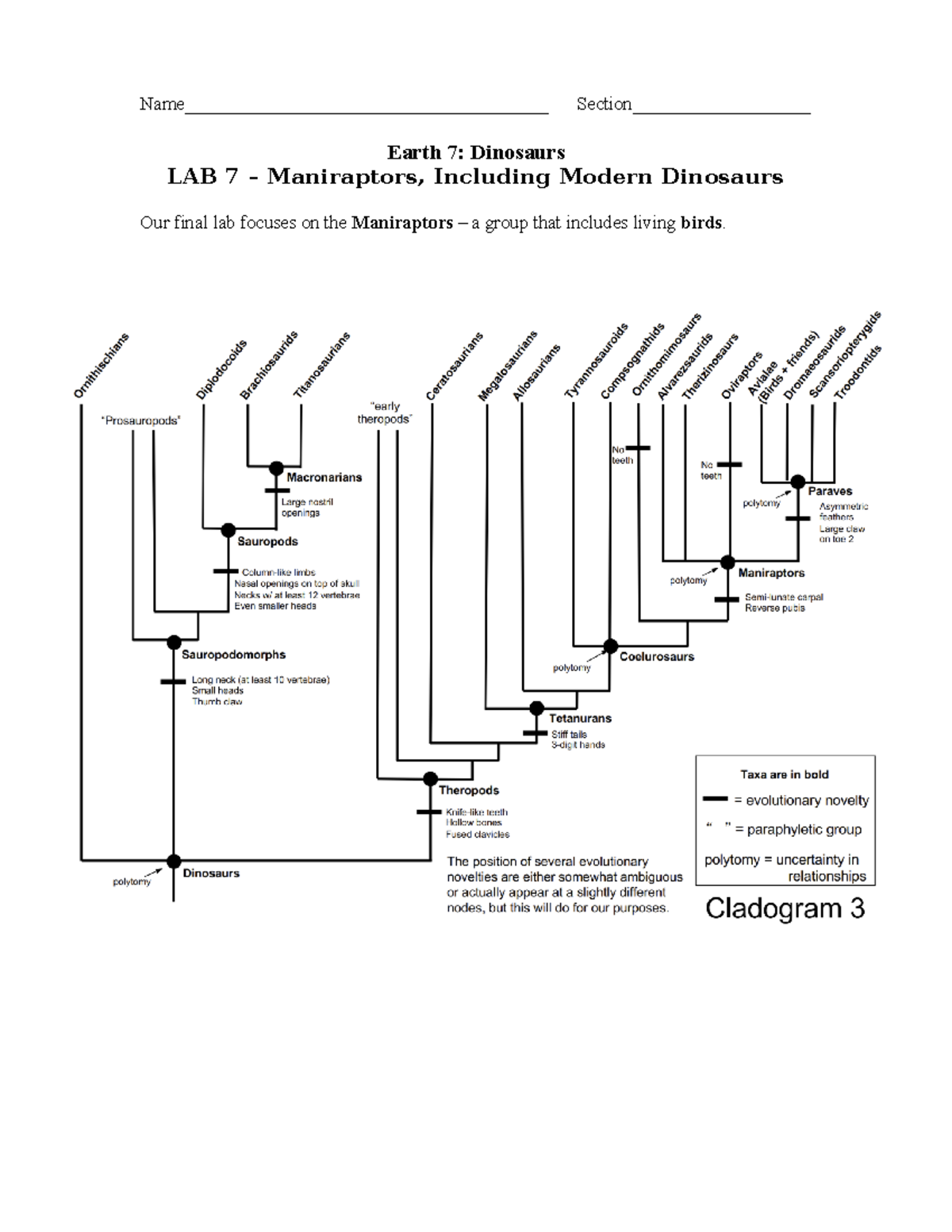 Lab 7: Maniraptors and Modern Dinosaurs - Earth 7 Lab - Studocu