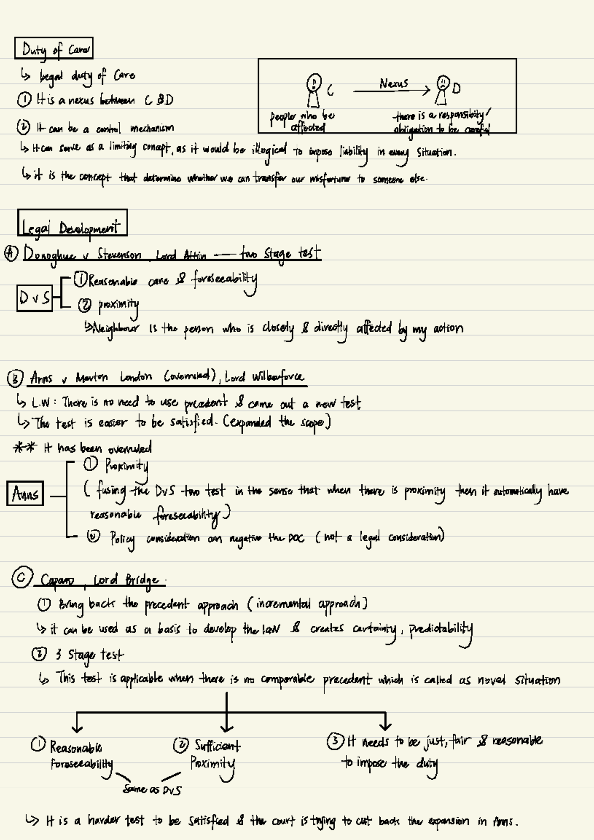 Chapter 3: Duty of Care in Tort Law Notes (TORT 101) - Studocu