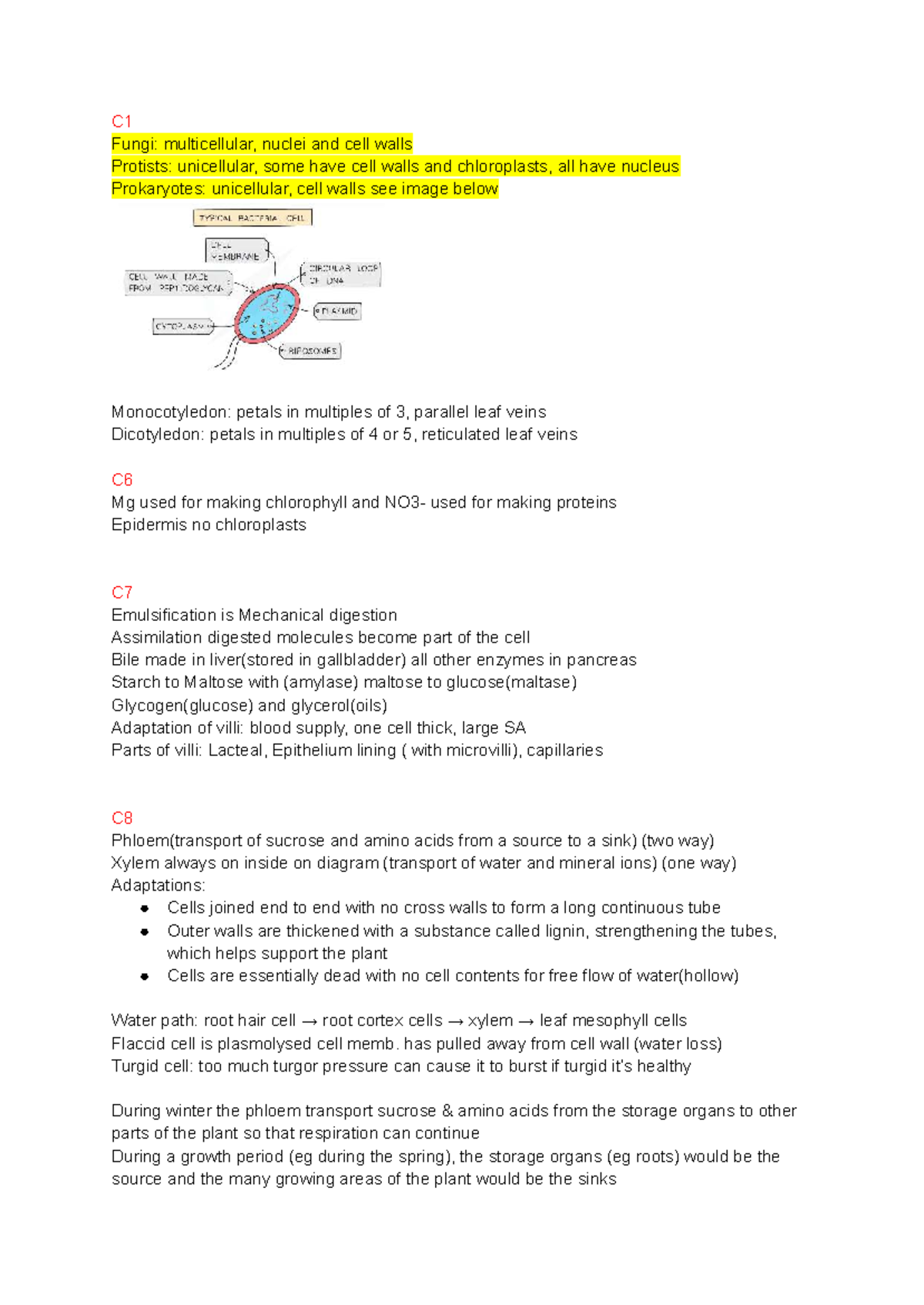 BIO IGSCE Comprehensive Study Notes on Cells, Genetics, and Ecology ...
