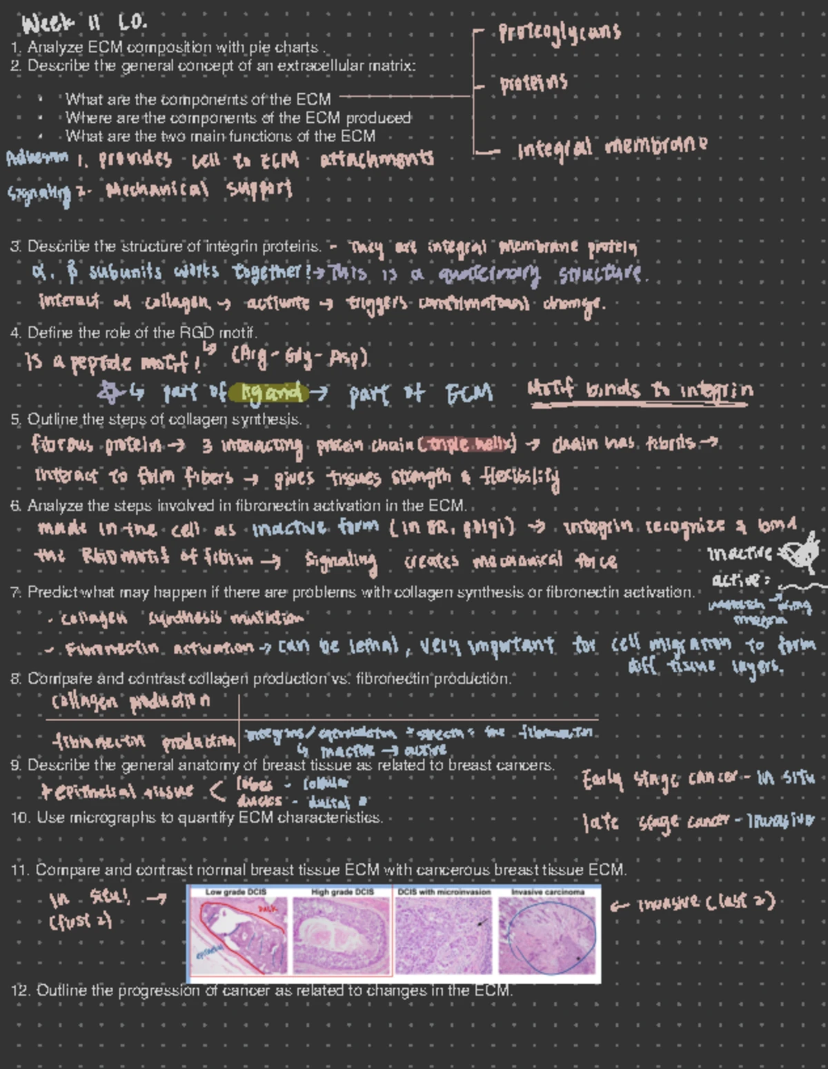 Bio 101 Week 7 Study Packet Summary and Notes - Studocu
