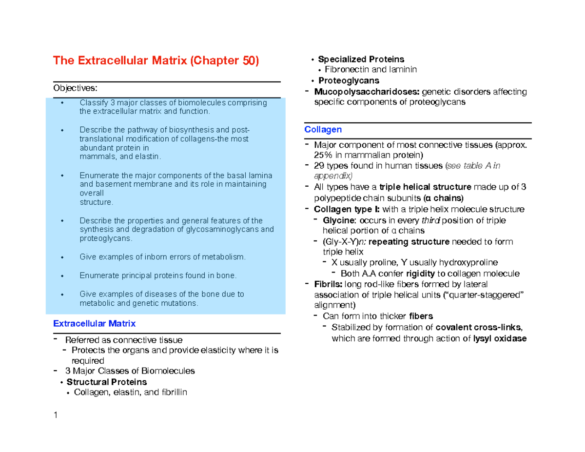 Biochem CHAP 50: The Role and Composition of the Extracellular Matrix ...