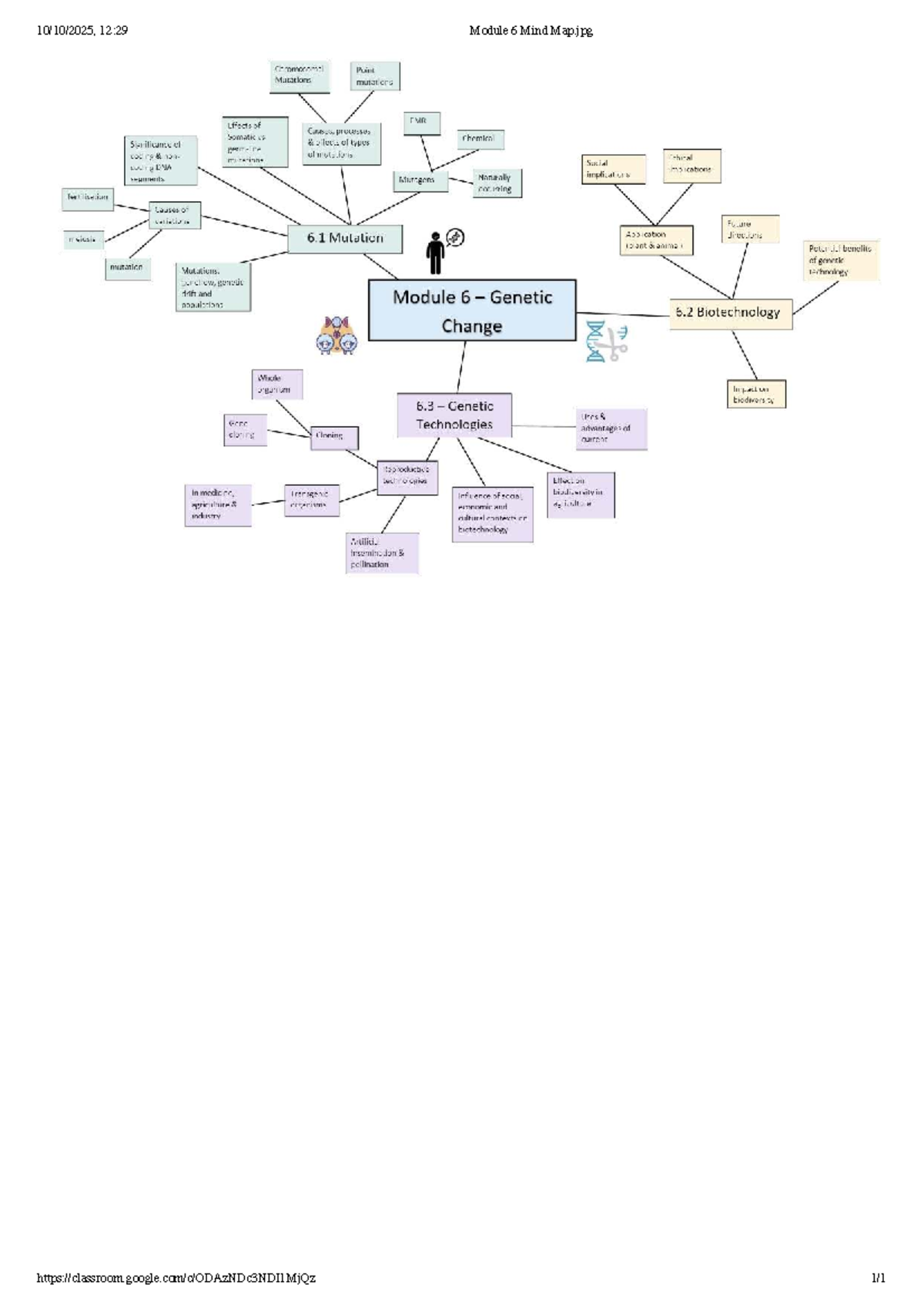Module 6: Mind Map on Chromosomal Mutations and Biotechnology - Studocu