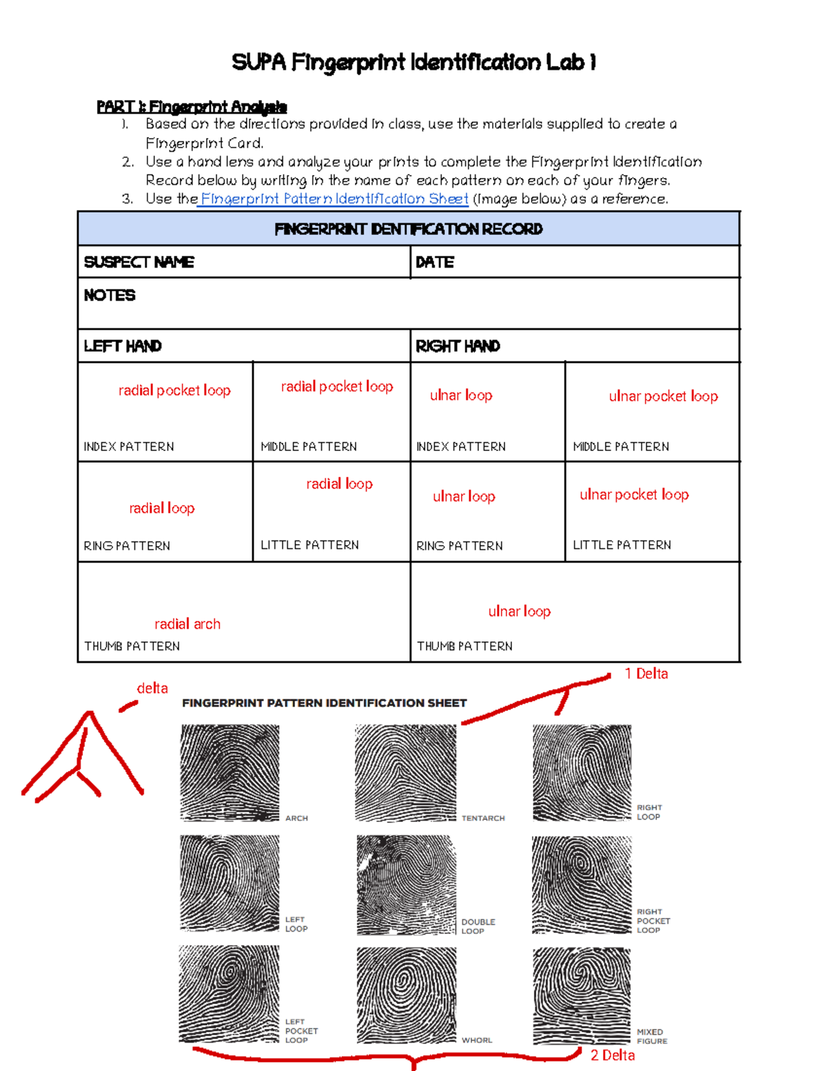 SUPA Fingerprint Identification Lab 1: Fingerprint Analysis Guide - Studocu