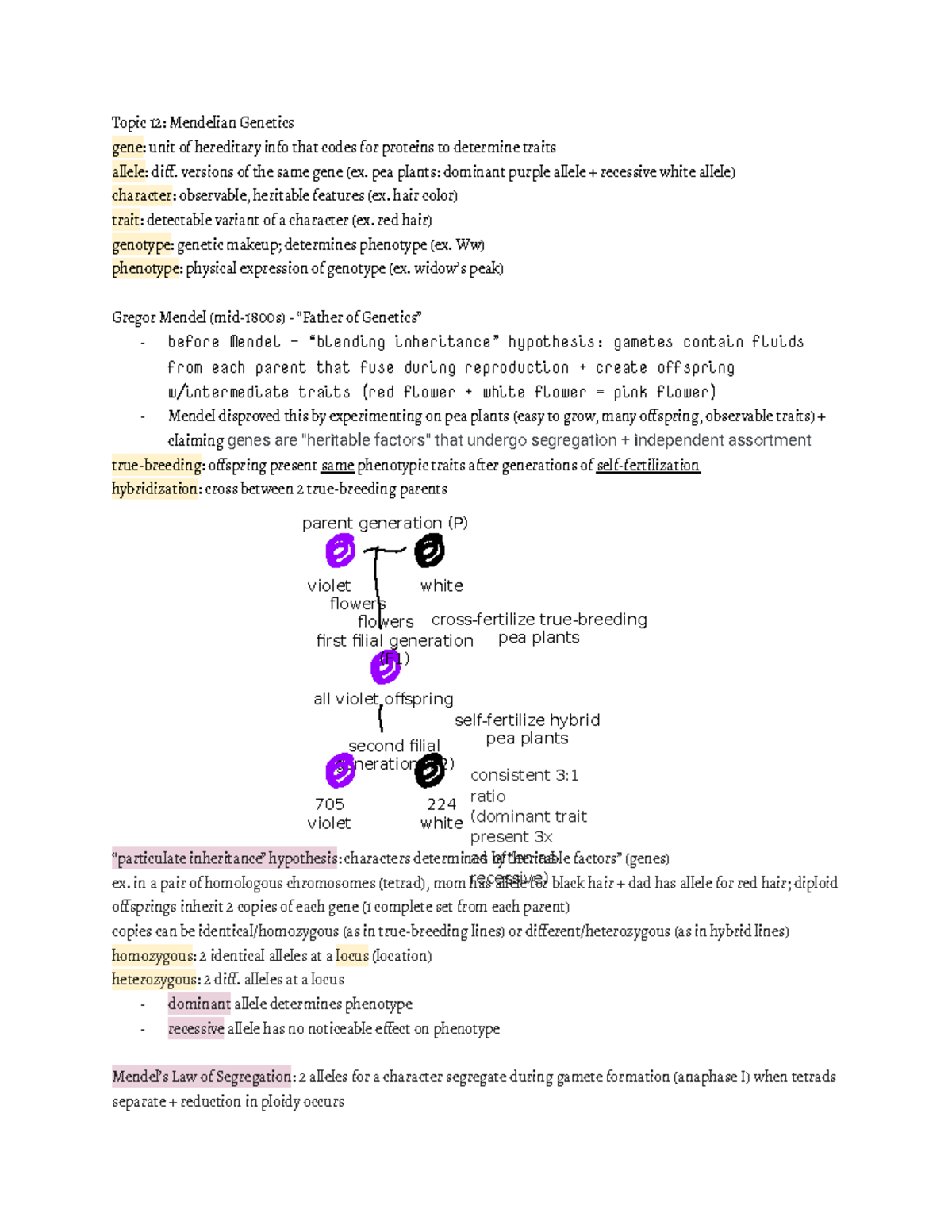 Topic 12 - Lecture notes 12 - Topic 12: Mendelian Genetics gene: unit ...