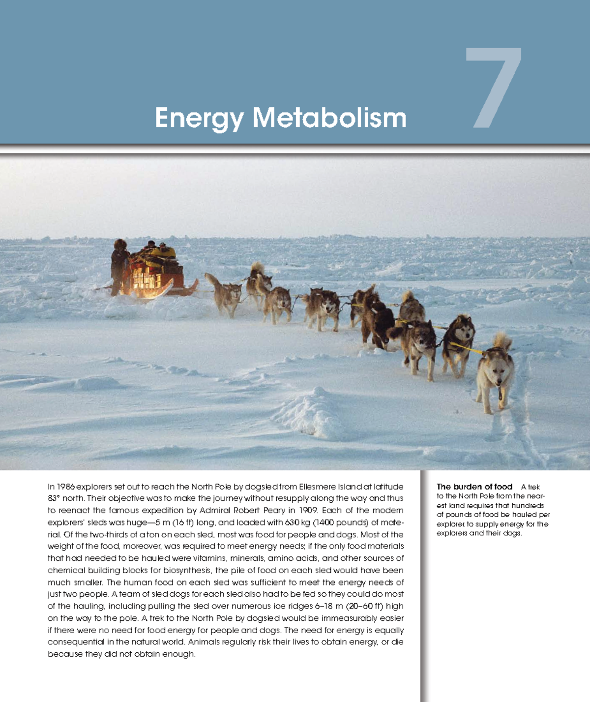 Energy Metabolism in Animal Physiology: Dynamic Action & Scaling ...