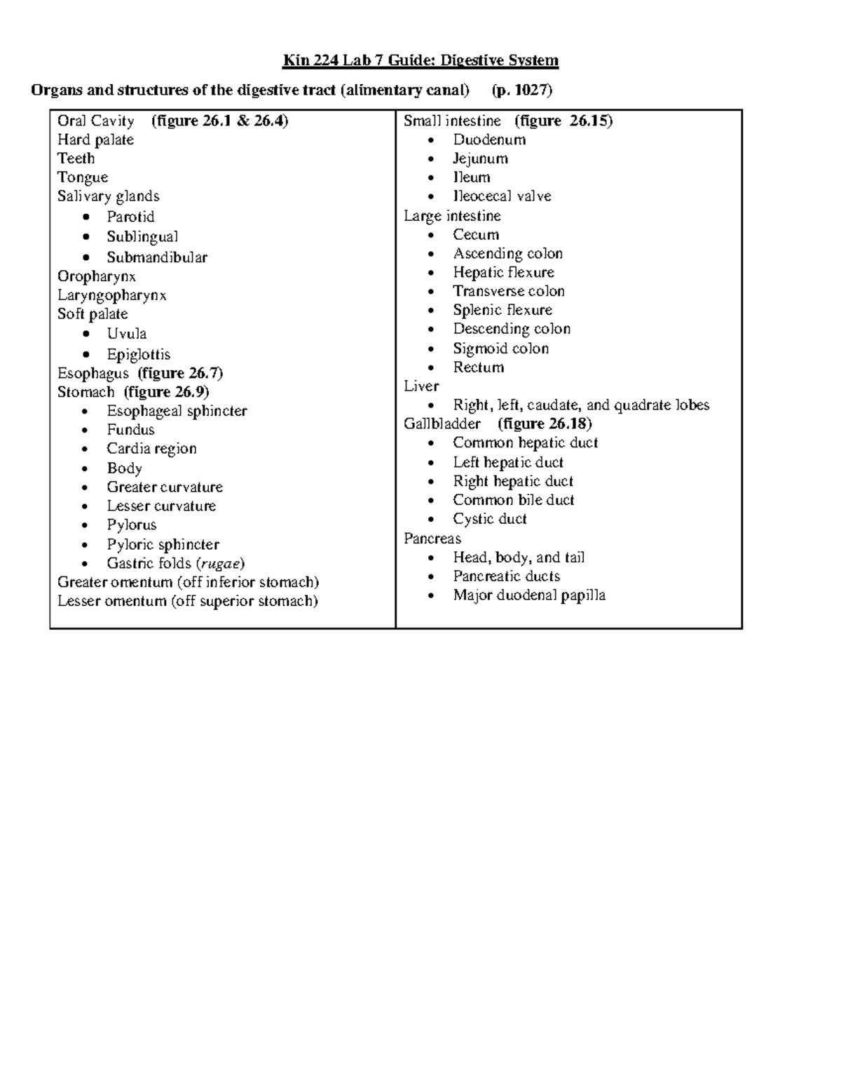 Lab 7 Guide for Kin 224: Digestive System Overview and Structures - Studocu