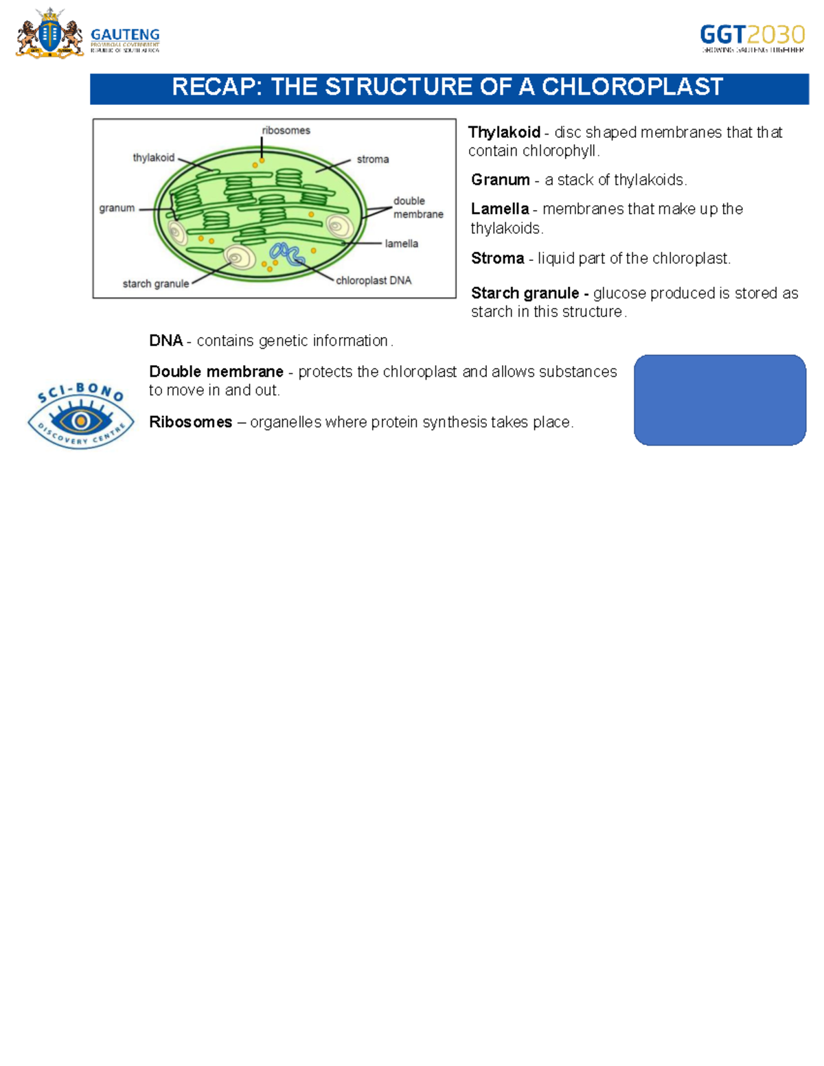 Life Sciences Gr11: Chloroplast Structure & Photosynthesis Overview ...