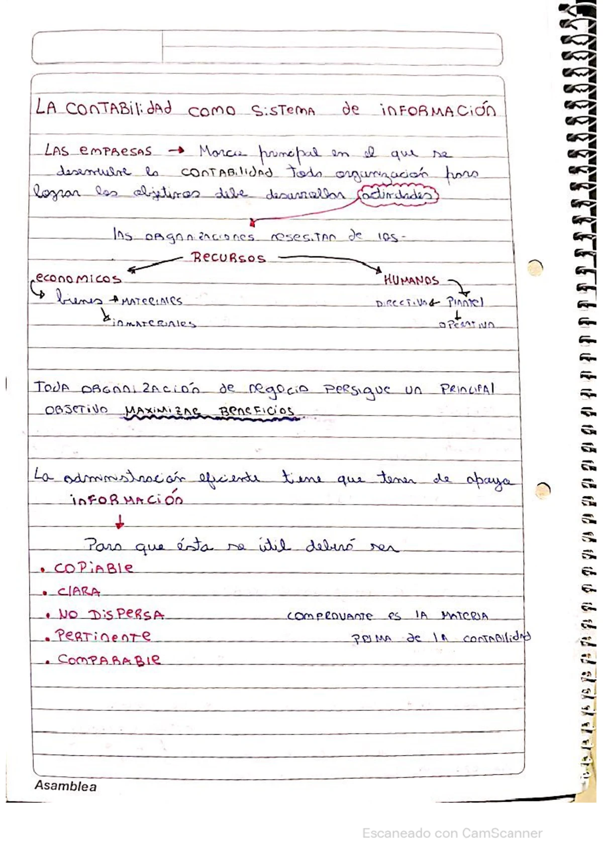 Resumen de Contabilidad B sica - Thumb 1200 1698.webp