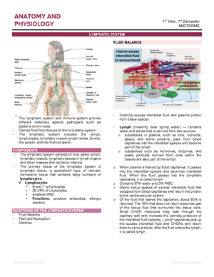 Lesson 11 - Lymphatic System - General Anatomy 1 - Studocu