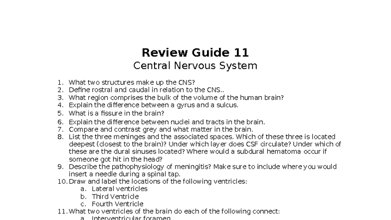 Review Guide 12: Central Nervous System Overview and Key Concepts - Studocu