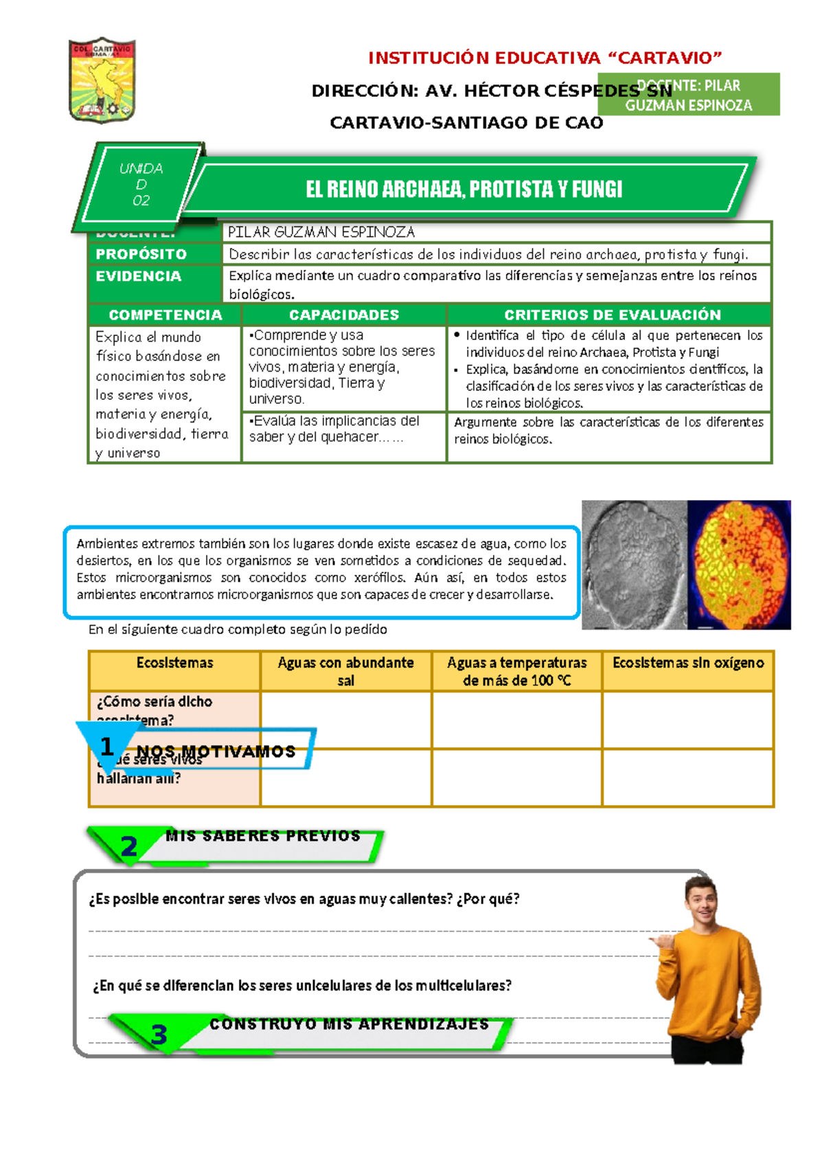 Características de los Reinos Archaea, Protista y Fungi - Actividad D02 -  Studocu