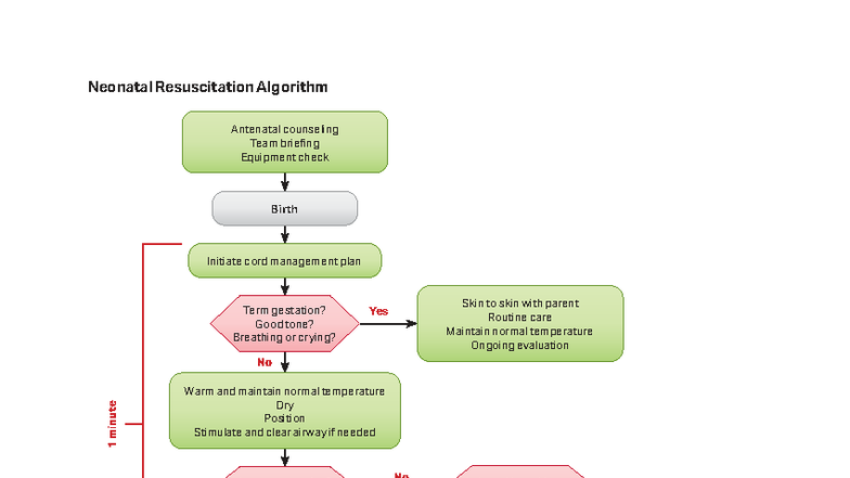 AHA 2025 Pediatric & Adult Resuscitation Algorithms Guide - Studocu