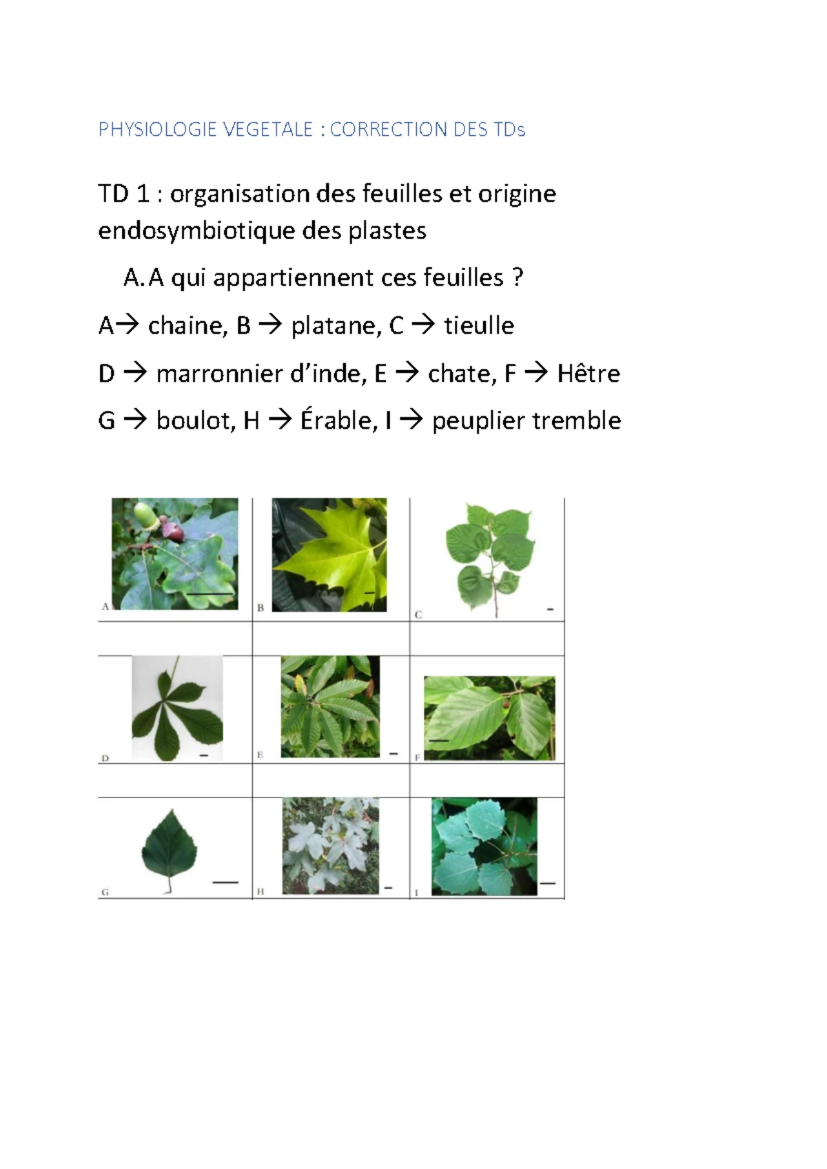 Sitemapcdatahttpsmixel Thicoipeinfoterre Vegetale Truffautnull
