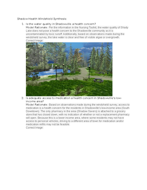 D222 Comprehensive Health Assessment - Health Promotion Justification ...