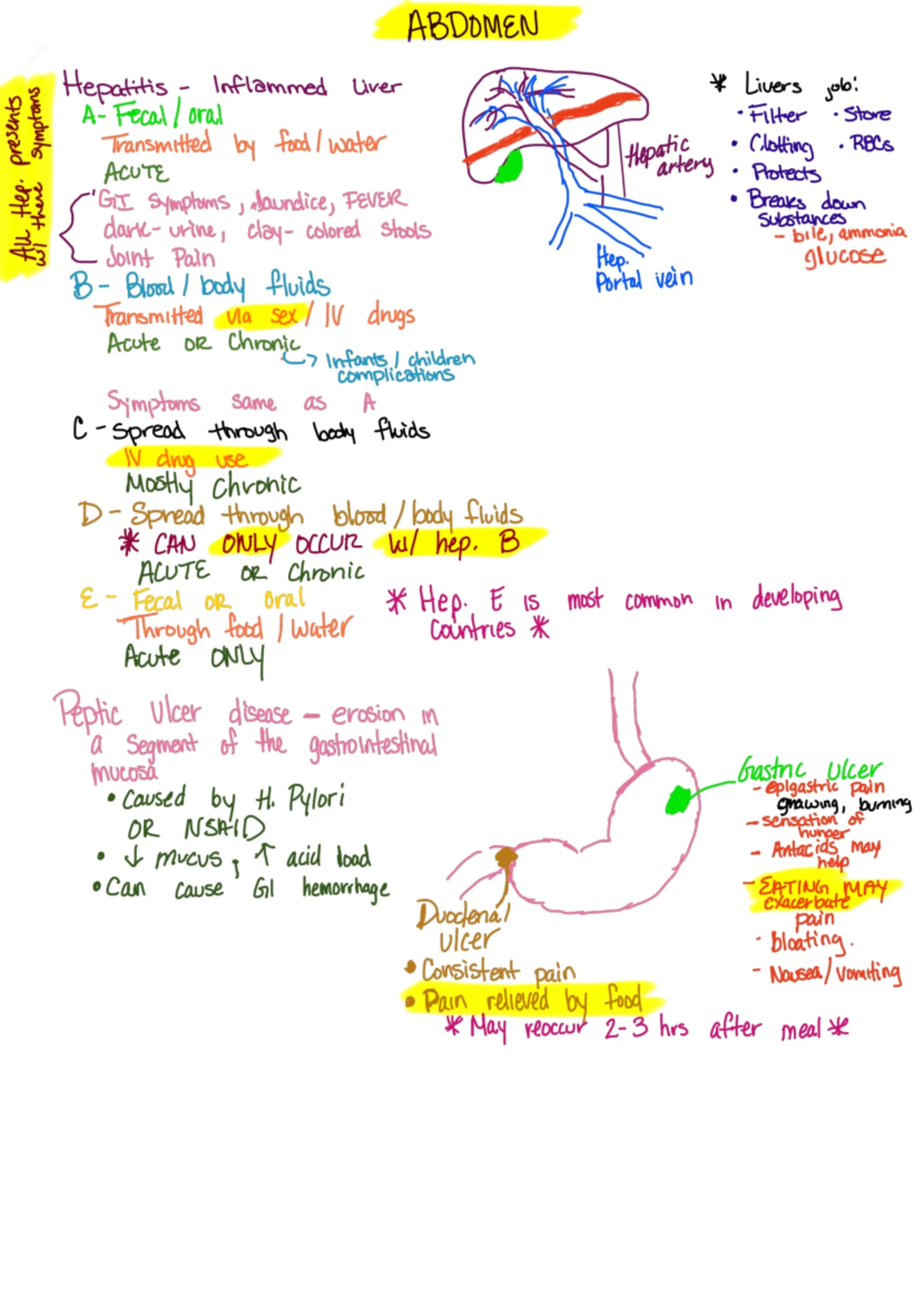 Week 2 Study Guide: Pathophysiology Essentials - Studocu
