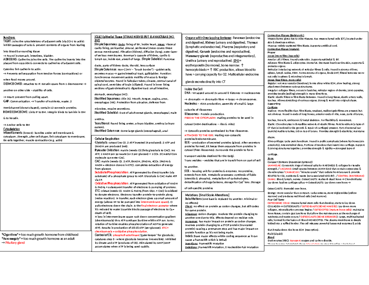 BIOSCI 107 Cheat Sheet [Mid-Semester Test] - Junctions TIGHT: Joins the ...