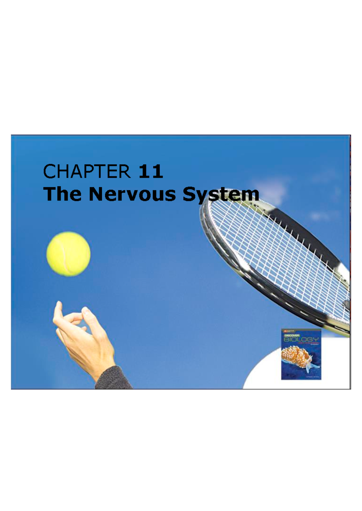Nervous System - biooooooo>!! - CHAPTER 11 The Nervous System Watch ...
