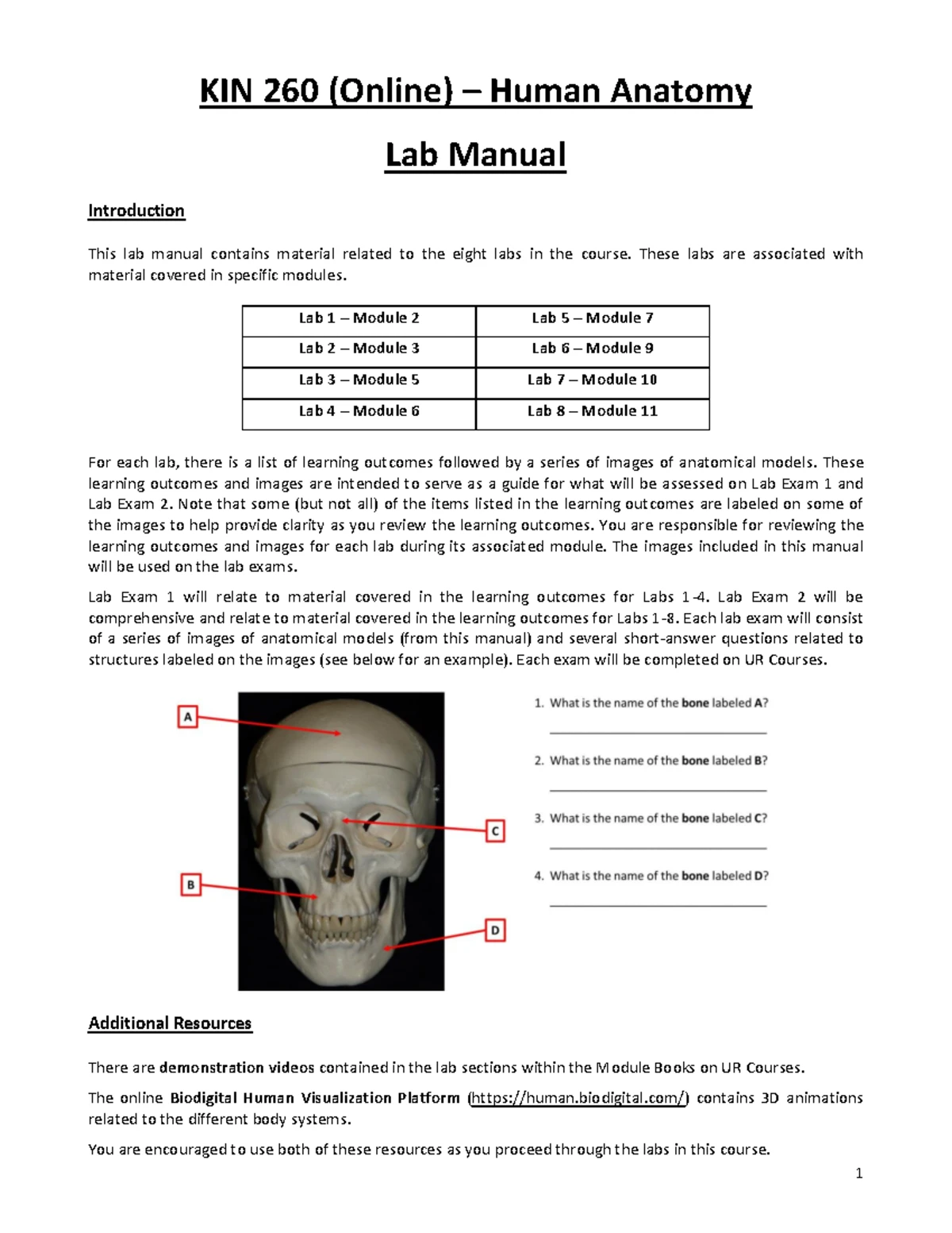 Lab 4 - Lower Limb Muscles - Assignment - Student Name ...