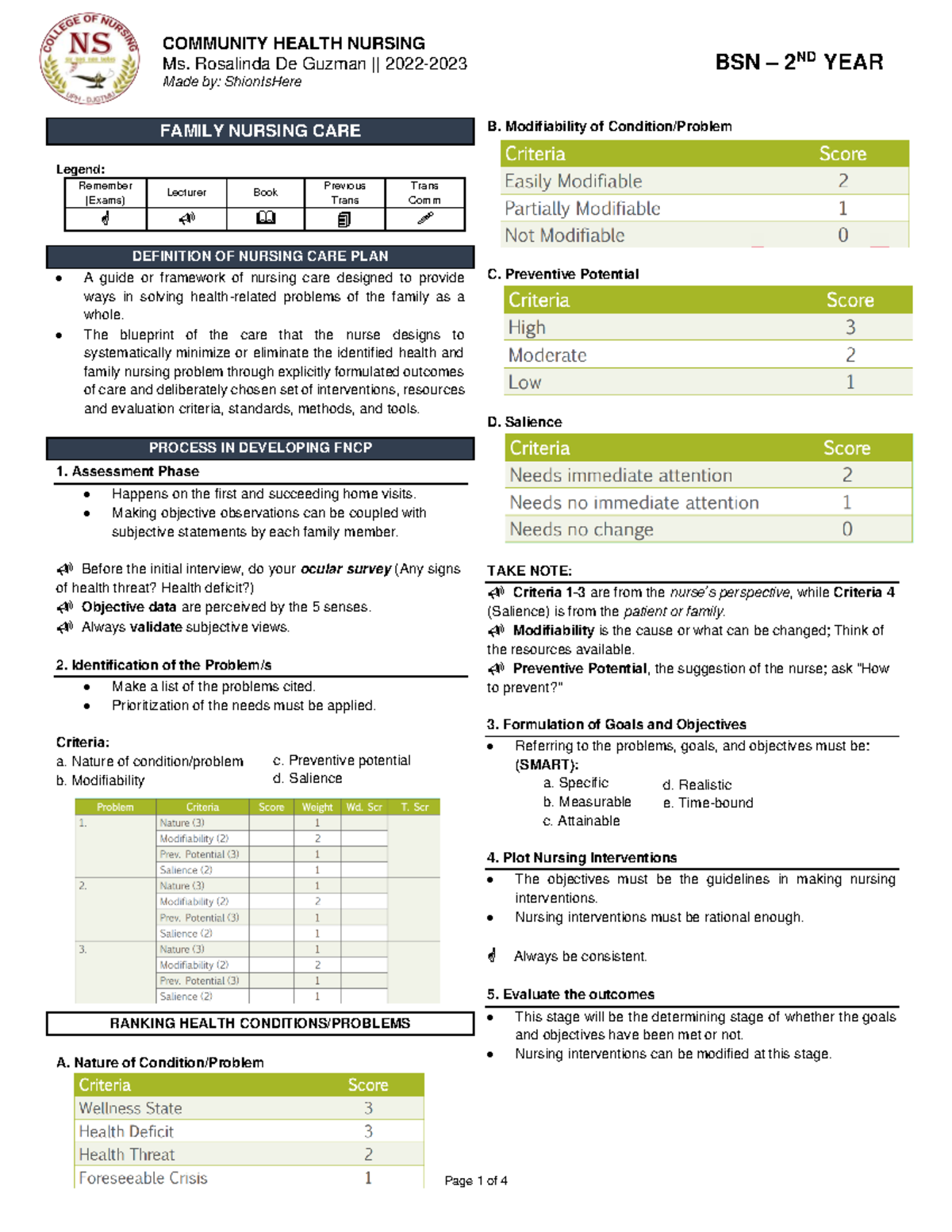 L1-L2 Family Nursing Care Plan and Prioritization: Community Health ...