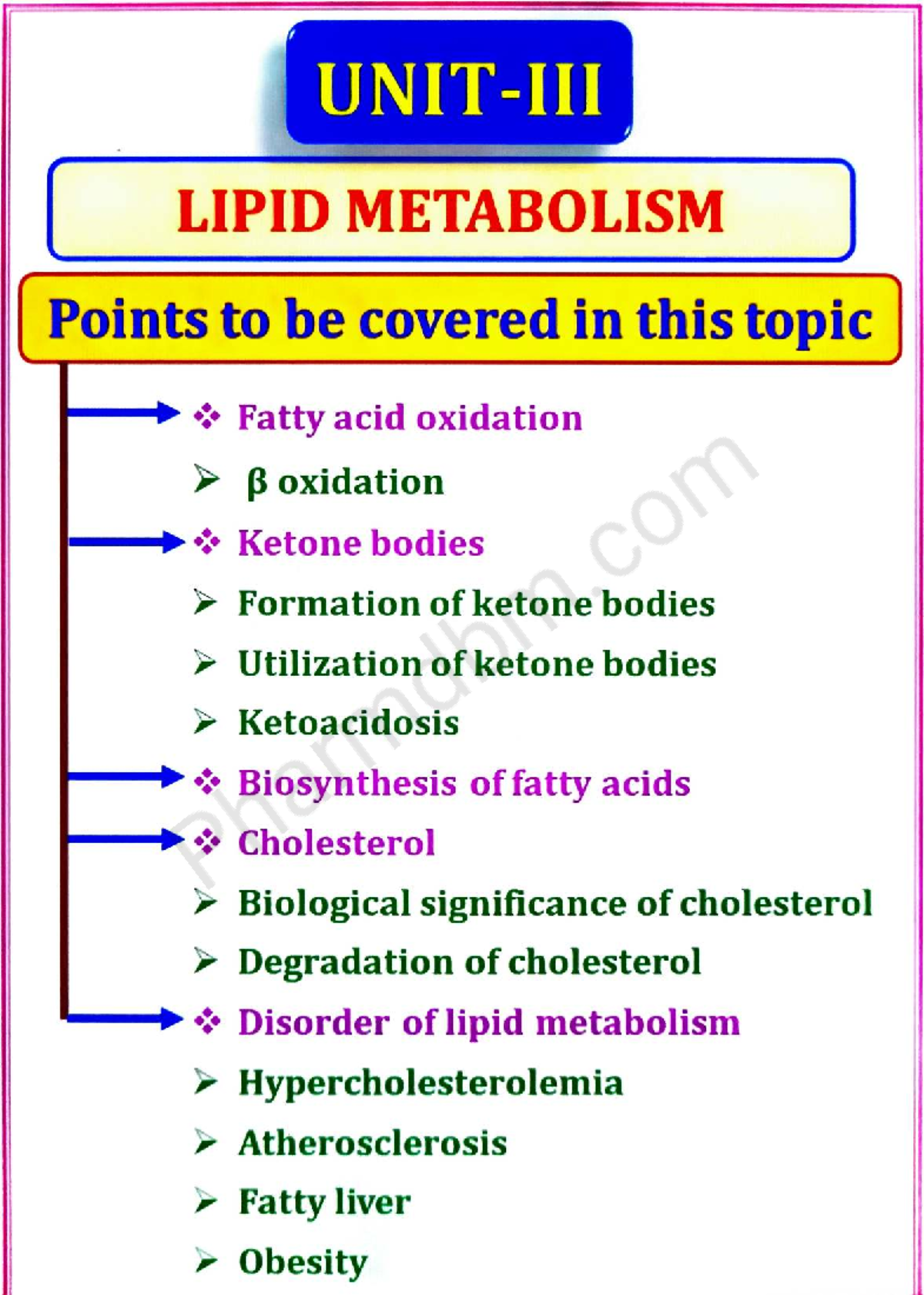 Biochemistry - Unit 3: Lipid Metabolism Summary for B. Pharm - Studocu