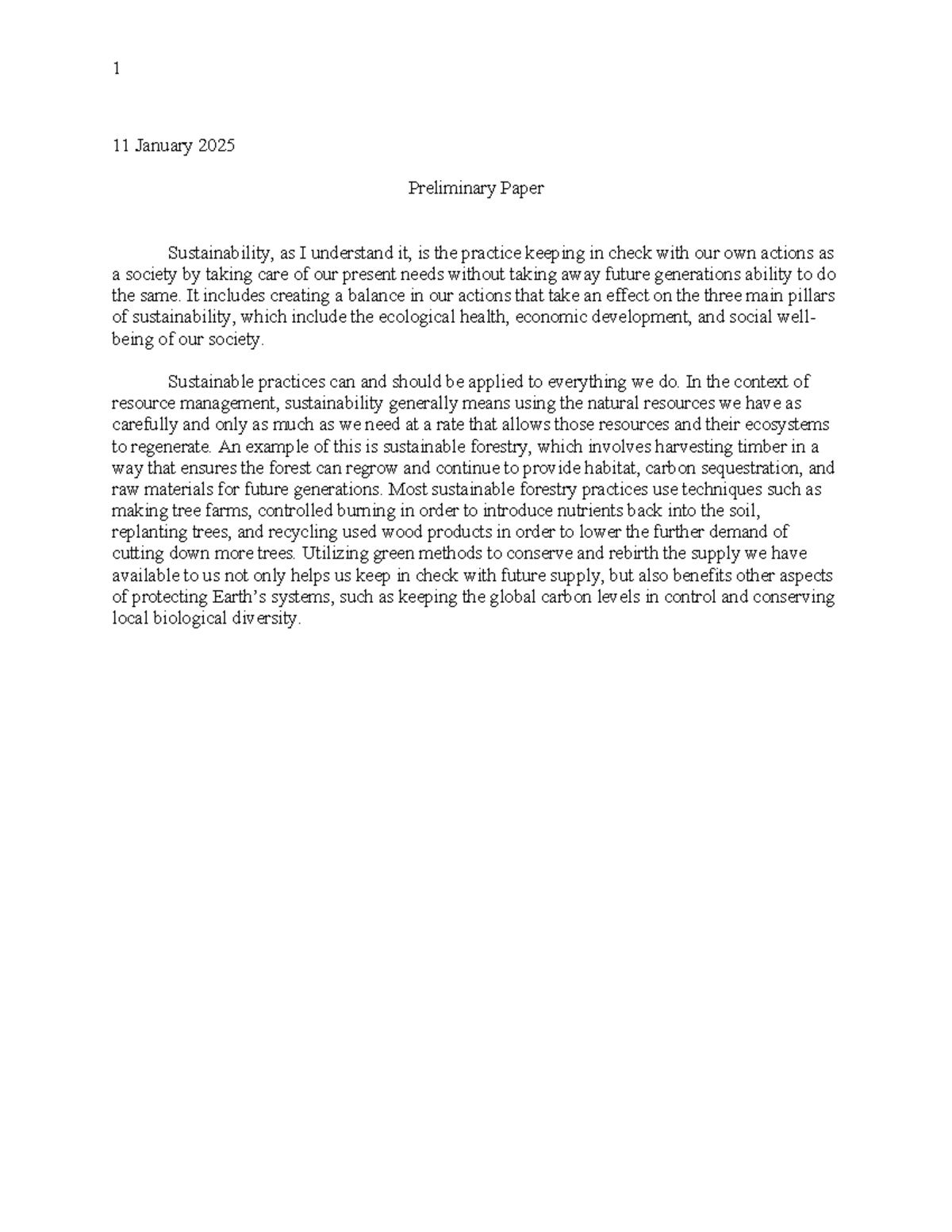 Sustainability - Preliminary paper - 1 11 January 2025 Preliminary ...