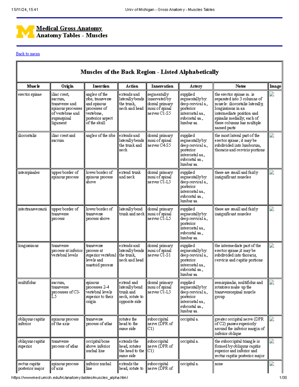 Muscles Movement & Innervation - Medical Gross Anatomy Anatomy Tables ...