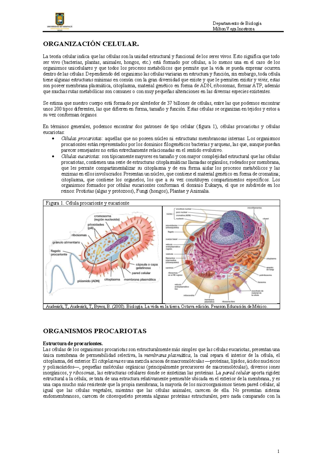 Biología 06: Estructura y Función de Células Procariotas y Eucariotas ...