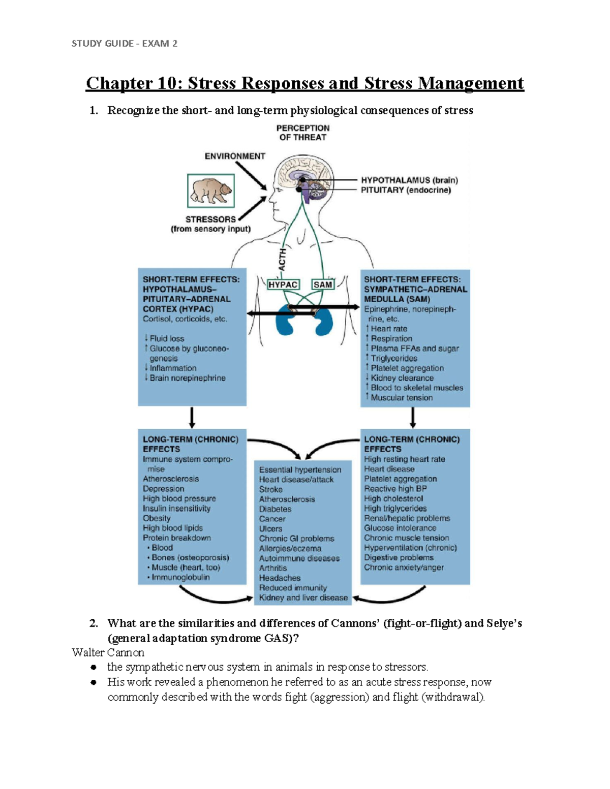 Study Guide EXAM 2 - Chapter 10: Stress Responses and Stress Management ...