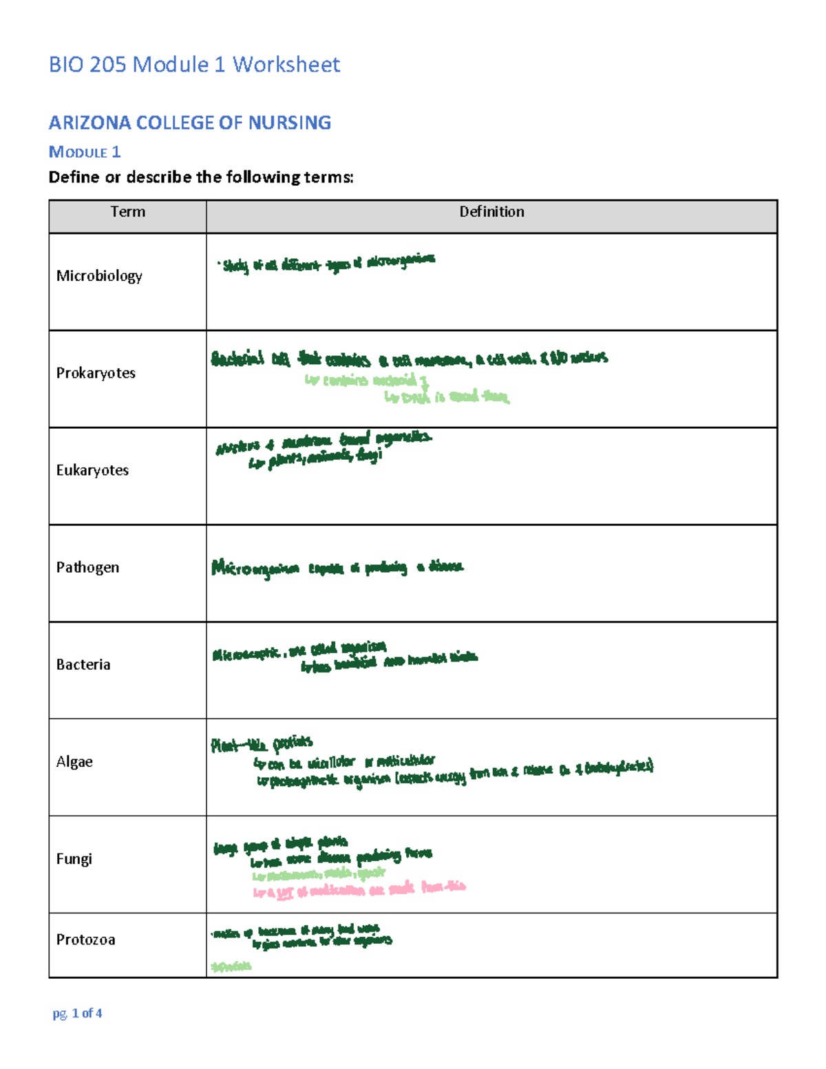 BIO 205 Module 1 Worksheet: Microbiology Concepts and Definitions - Studocu