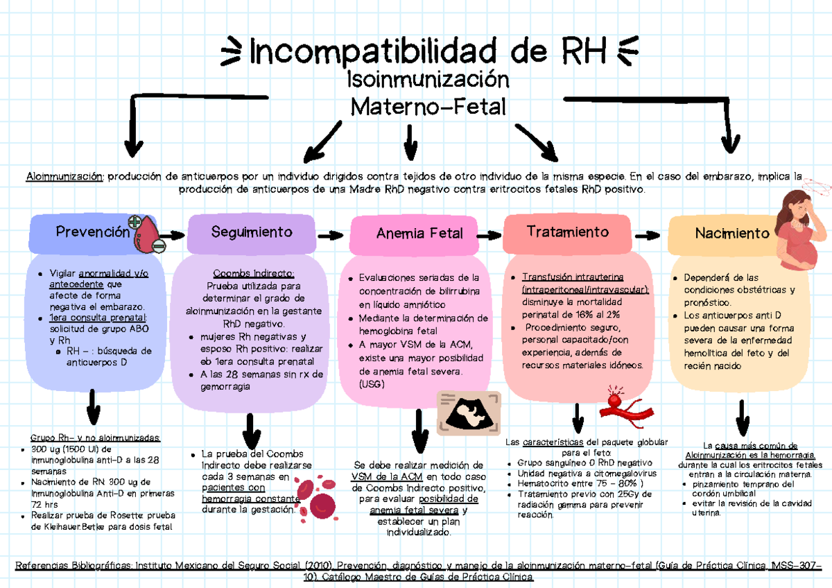 Incompatibilidad RH y Antígeno D: Prevención y Manejo en Embarazo 20260411 - Document Preview