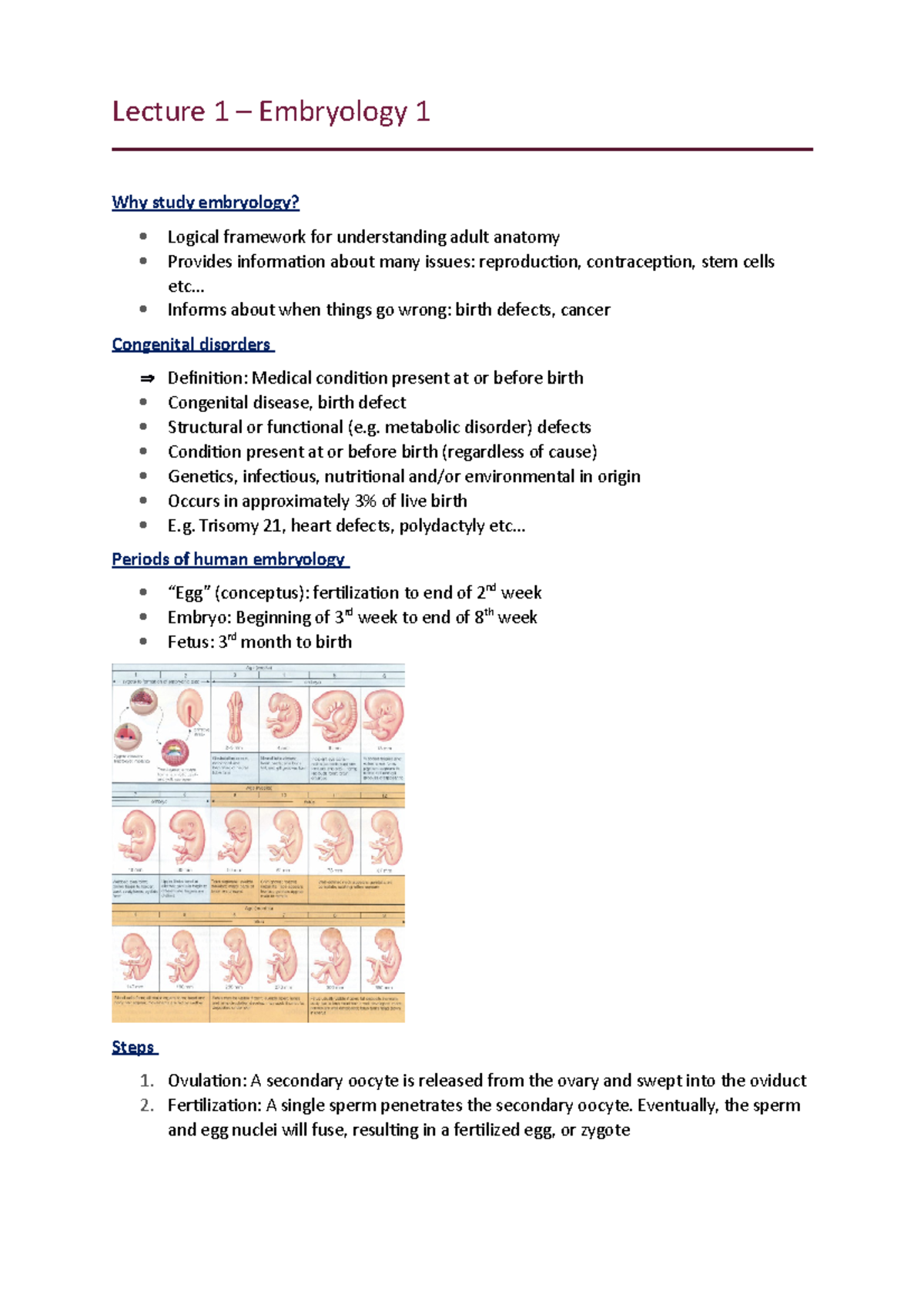 Embryology 1 - Lecture Notes on Early Development Stages - Studocu