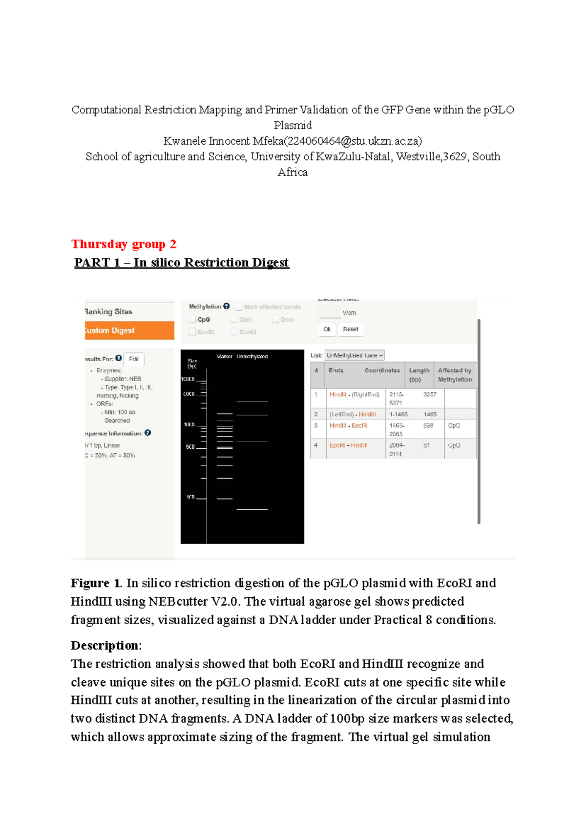 Practical 6: Computational Restriction Mapping & Primer Validation of ...