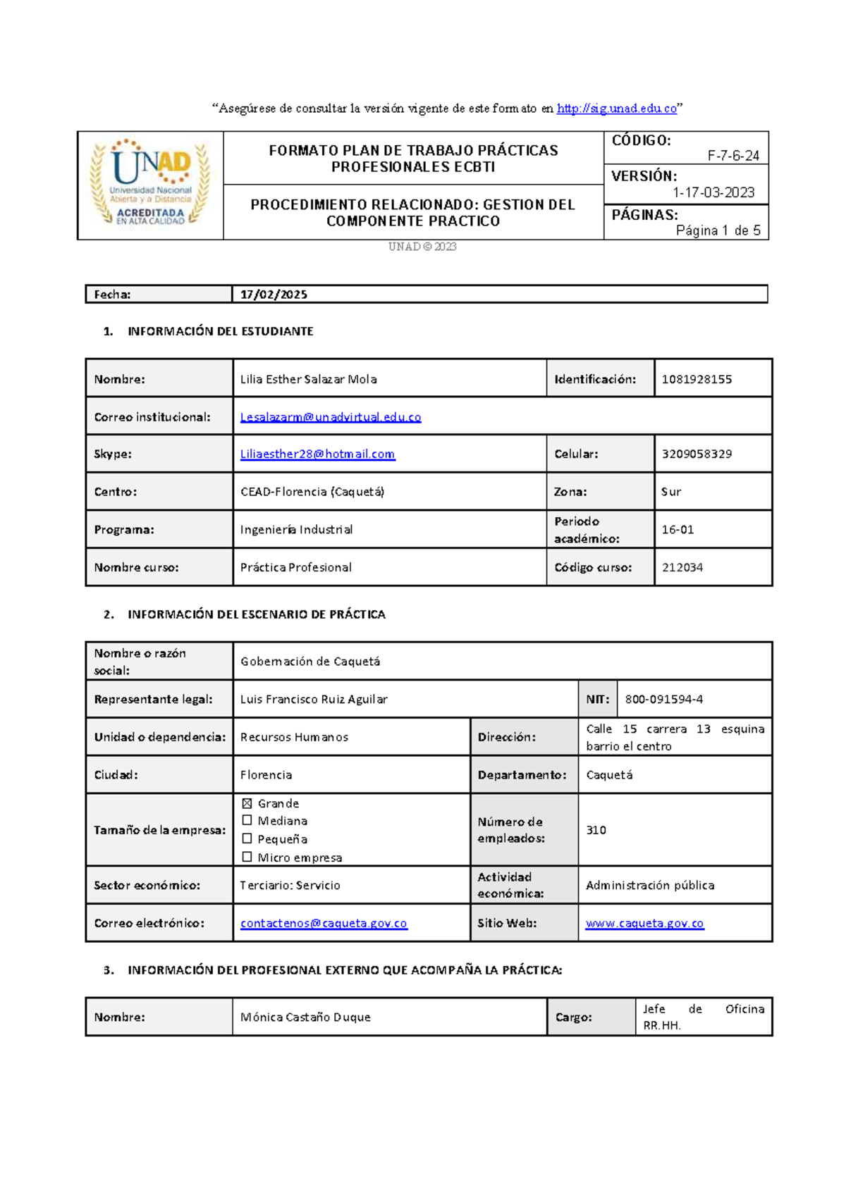 Formato Plan de Trabajo Práctica Profesional - 212034 - Lilia Salazar - Document Preview