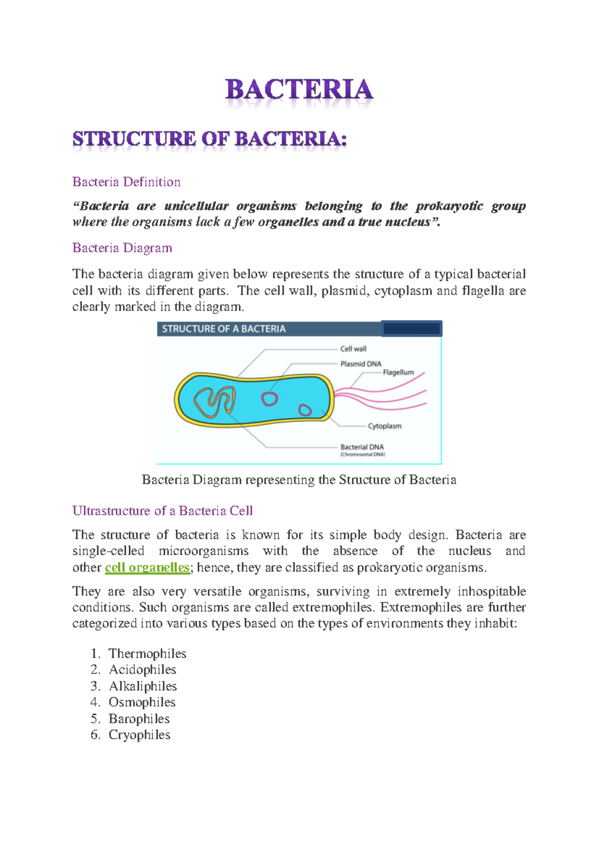 Bacteria: Structure, Function, and Economic Importance Study Notes ...