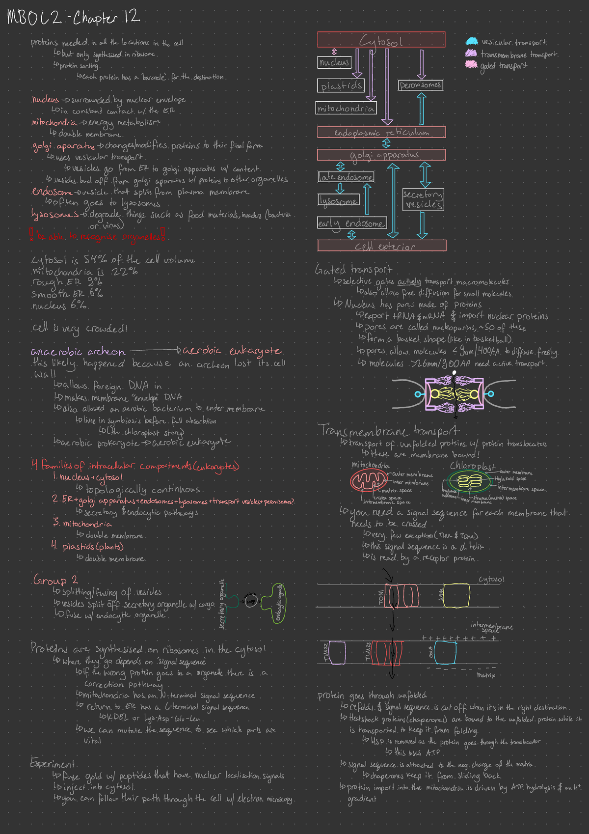 MBOC2 - Chapter 12 Lecture Notes on Protein Transport Mechanisms ...
