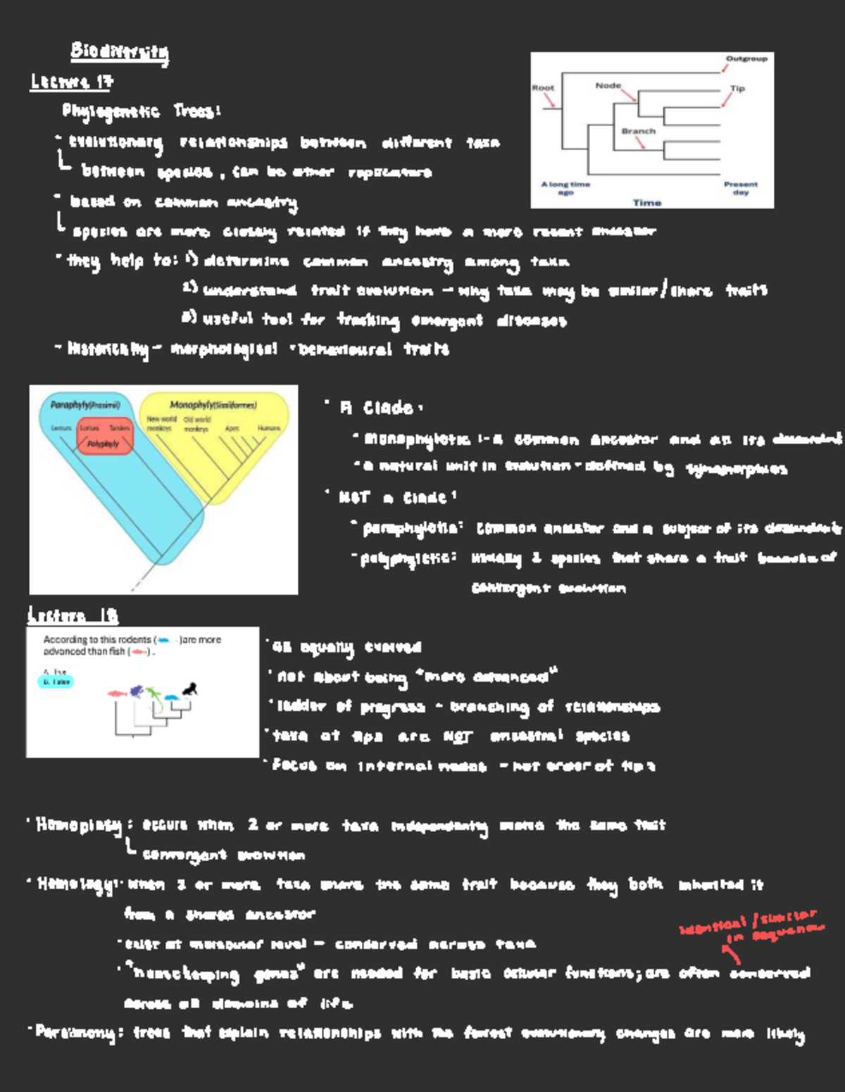 Biodiversity Lecture 17-19: Phylogenetic Trees & Evolutionary ...