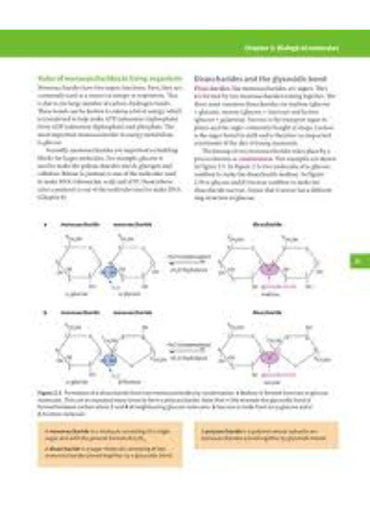 BIO 101: Lecture Notes on Biology Concepts and Key Topics - Studocu