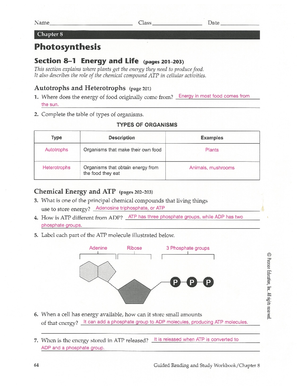 Img-Z06102606 - Chapter 8 Photosynthesis Reading guide ans - Name Class ...