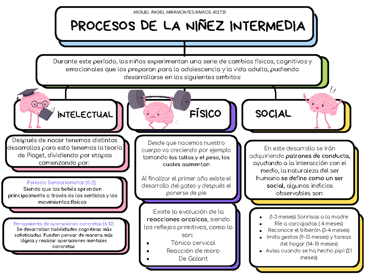 Procesos de la niñez intermedia - Durante este período, los niños ...