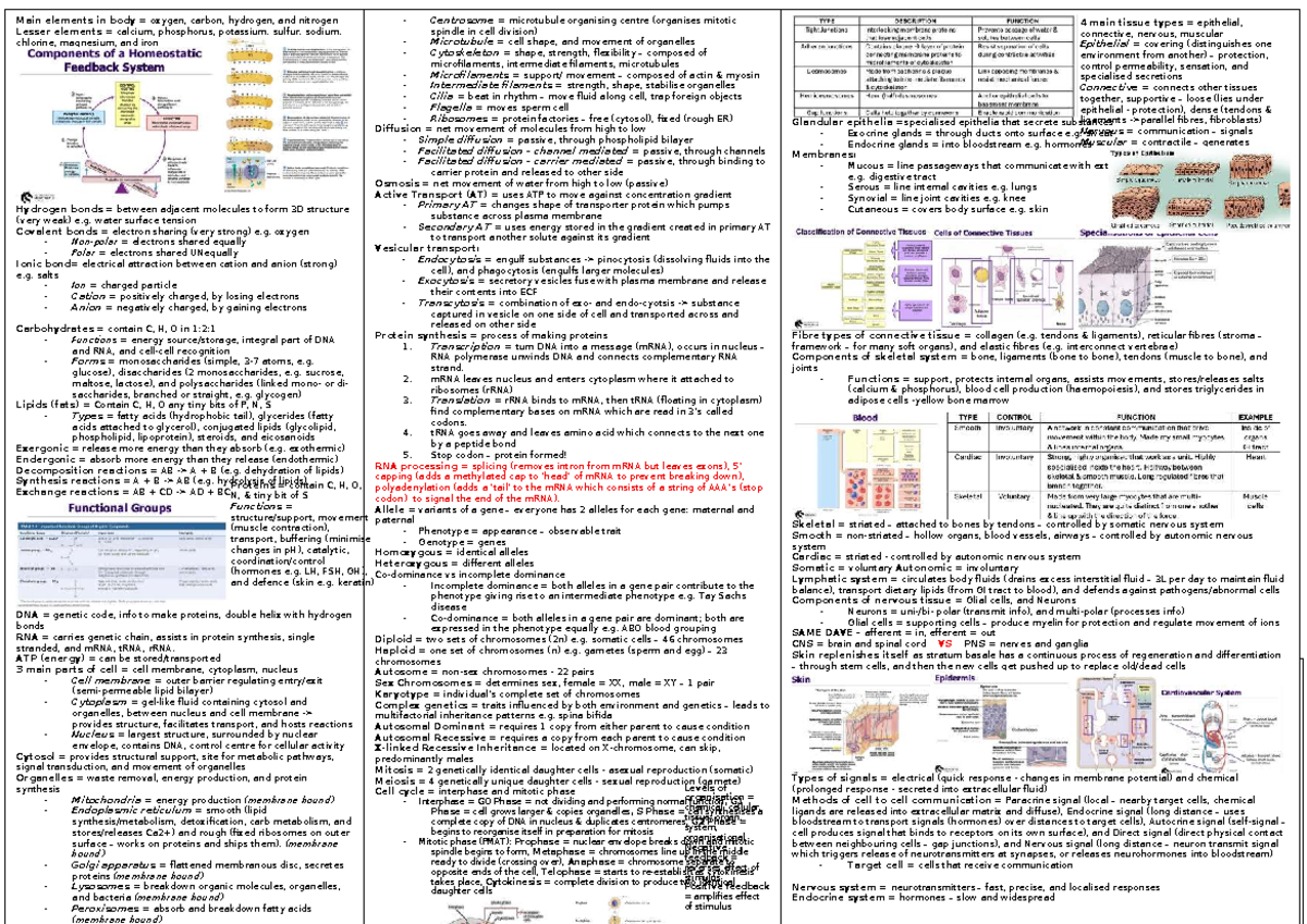Summary - Final Exam Cheat Sheet for Cell Biology (BIO 101) - Studocu