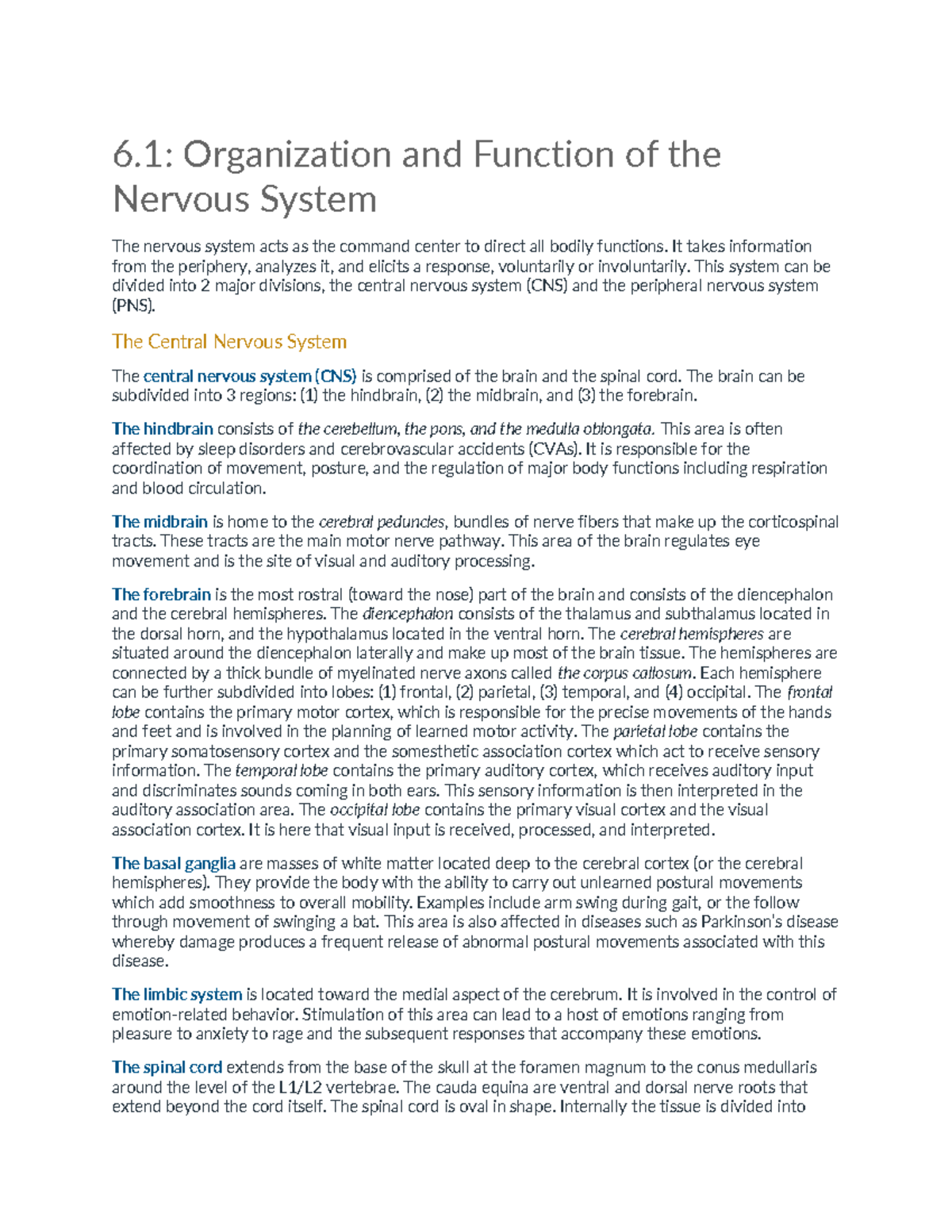 Exam 6 Study Guide: Organization & Function of the Nervous System - Studocu