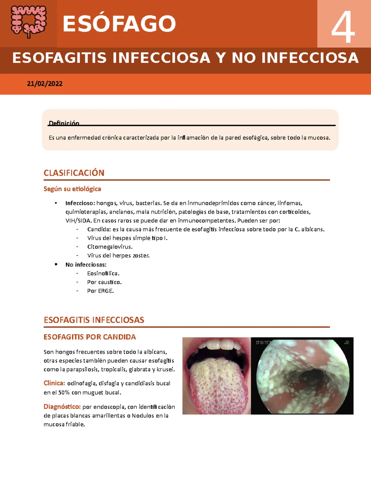 Abordaje Integral de Hemorragias Digestivas: Guía Práctica FM - Studocu