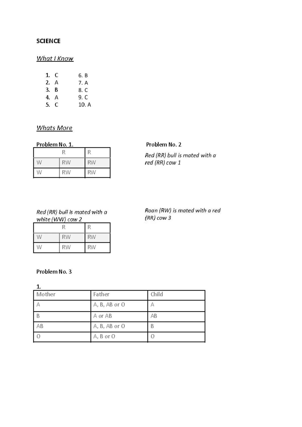 Science - Week 6 Answer Sheet: Photosynthesis Activities & Assessment ...