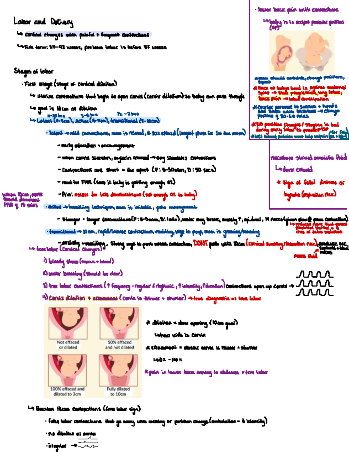 Exam 2 - Labor and Delivery: Understanding Contractions and Cervical ...