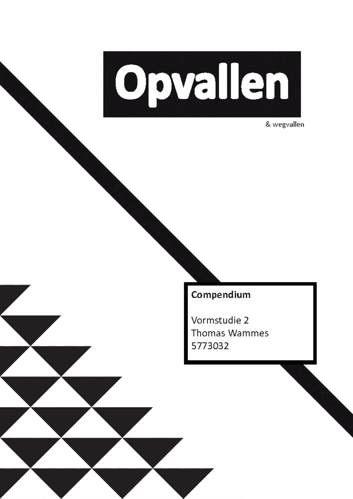 Vormstudie 2: Compendium over Licht, Schaduw en Compositie - Studeersnel
