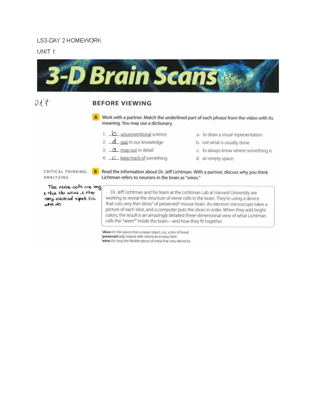 LS3-DAY2-HW: Understanding Brain Scans and Memory Processes - Studocu